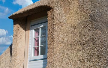 New Parks thatch roof disadvantages
